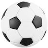 team`s emblem